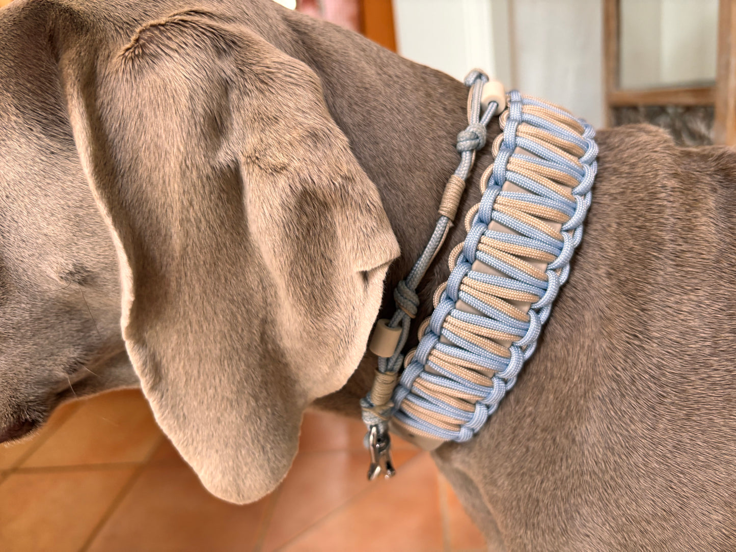 Coco Halsband le naturel Iceblau Caffee Latte mit kette