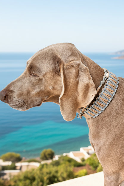 Coco Halsband le naturel Iceblau Caffee Latte mit kette