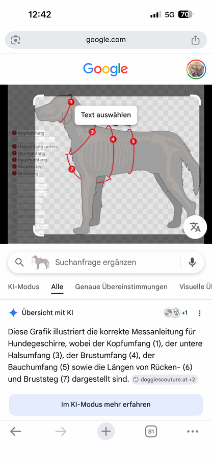Messanleitung