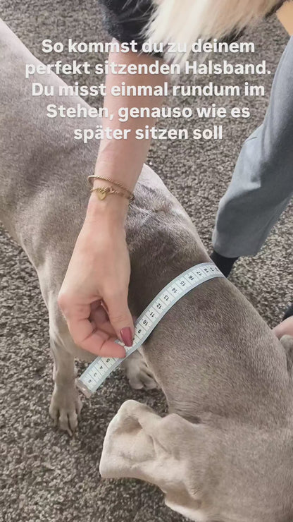 Halsband "les petits" Espresso- Braun