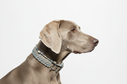 Weimaraner Querformat Produktbild